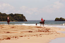 Costa Rica-Caribbean Coast-Caribbean Border Trail Adventure